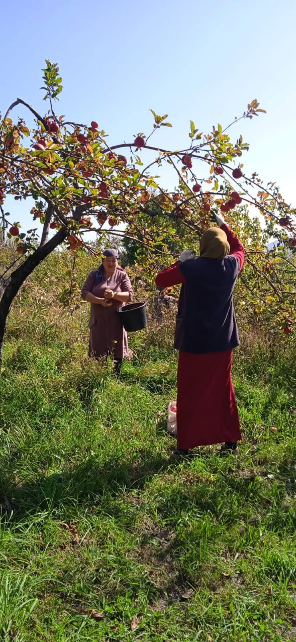 Социальная неотложка.